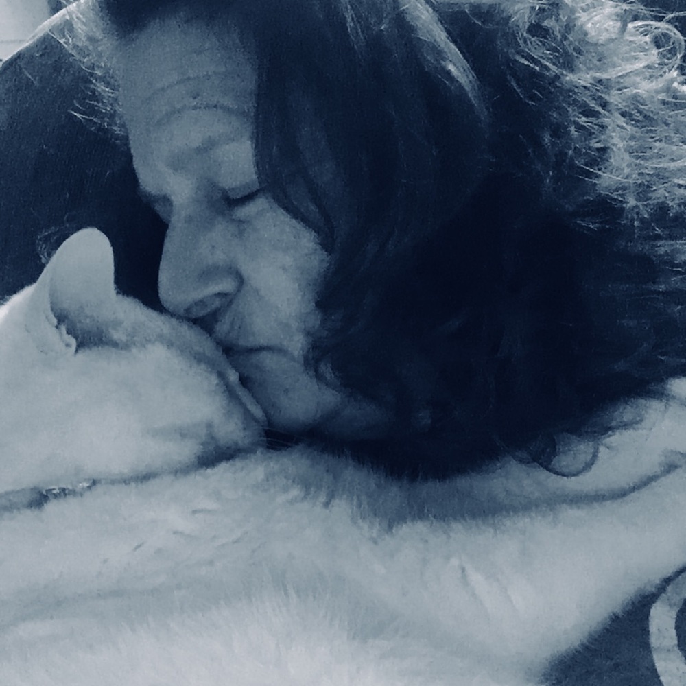 Meet your Posher, Riley